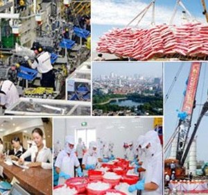 Nền Kinh tế Việt Nam đang có triển vọng lạc quan năm nay | Bản tin KINH TE