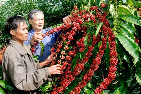 Các kho dự trữ giảm 54% từ mức kỷ lục từ trước đến nay Các kho dự trữ giảm 54% từ mức kỷ lục từ trước đến nay
