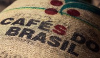 Cooxupe giảm dự báo sản lượng cà phê Brazil năm 2014