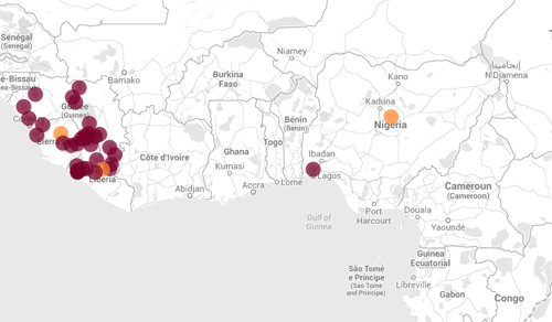 Đến ngày 7/8, Ebola đã xuất hiện tại 4 quốc gia, trong đó tử vong nhiều nhất tại Guinea. Liberia và Sierra Leone đều có hơn 280 ca tử vong. Ít nhất là Nigeria, với 9 ca mắc và chỉ 1 ca tử vong. 