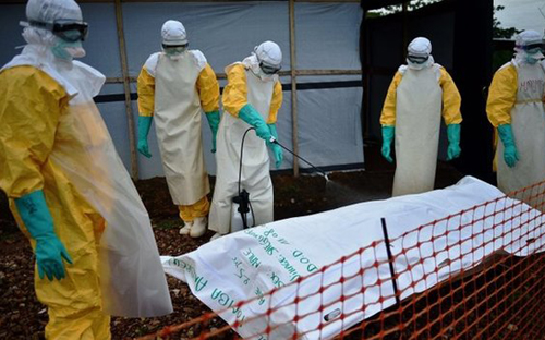 WHO kêu gọi thế giới cần đánh giá đúng nguy cơ bùng nổ bệnh dịch Ebola (ảnh: AFP)