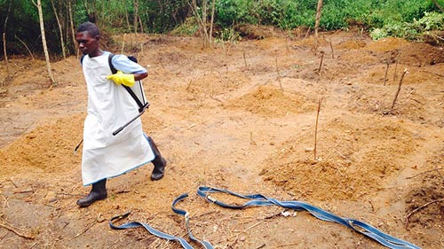 La liệt những nấm mồ của nạn nhân Ebola tại một ngôi làng