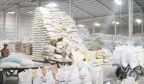 Trung bình mỗi ngày Việt Nam xuất sang Trung Quốc từ 800 - 1.000 tấn gạo